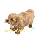 みんなだいすき！ヒナえもん（個別スタンプ：14）