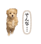 みんなだいすき！ヒナえもん（個別スタンプ：16）