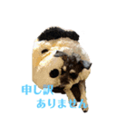 シュナウザー クゥ（個別スタンプ：3）