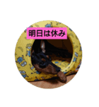 rinhappyhappy（個別スタンプ：2）