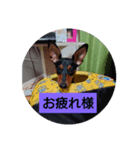 rinhappyhappy（個別スタンプ：3）