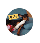 rinhappyhappy（個別スタンプ：5）