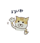 落書きねこズ（個別スタンプ：1）