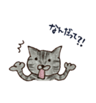 落書きねこズ（個別スタンプ：5）