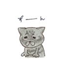 落書きねこズ（個別スタンプ：11）