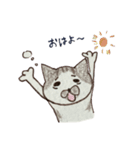 落書きねこズ（個別スタンプ：21）