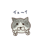 落書きねこズ（個別スタンプ：24）