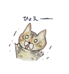 落書きねこズ（個別スタンプ：31）