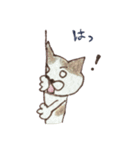 落書きねこズ（個別スタンプ：36）