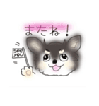 チワワのあっちゃん2イラスト編（個別スタンプ：3）