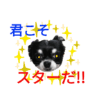ぼく、ソラくん 3（個別スタンプ：4）