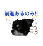 ぼく、ソラくん 3（個別スタンプ：6）