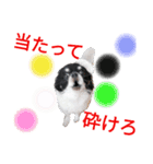 ぼく、ソラくん 3（個別スタンプ：10）