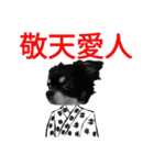 ぼく、ソラくん 3（個別スタンプ：11）