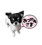 ぼく、ソラくん 3（個別スタンプ：17）