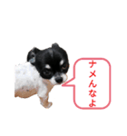ぼく、ソラくん 3（個別スタンプ：18）