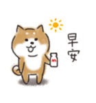 Shiba dog★Taiwan 柴犬 台湾語（個別スタンプ：1）