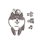 Shiba dog★Taiwan 柴犬 台湾語（個別スタンプ：2）