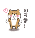Shiba dog★Taiwan 柴犬 台湾語（個別スタンプ：3）