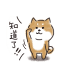 Shiba dog★Taiwan 柴犬 台湾語（個別スタンプ：4）