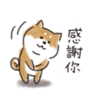 Shiba dog★Taiwan 柴犬 台湾語（個別スタンプ：7）