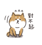 Shiba dog★Taiwan 柴犬 台湾語（個別スタンプ：11）
