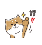 Shiba dog★Taiwan 柴犬 台湾語（個別スタンプ：12）
