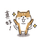 Shiba dog★Taiwan 柴犬 台湾語（個別スタンプ：13）