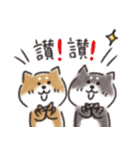 Shiba dog★Taiwan 柴犬 台湾語（個別スタンプ：19）