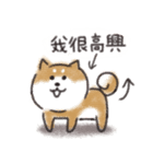 Shiba dog★Taiwan 柴犬 台湾語（個別スタンプ：21）