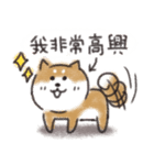 Shiba dog★Taiwan 柴犬 台湾語（個別スタンプ：22）