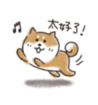 Shiba dog★Taiwan 柴犬 台湾語（個別スタンプ：23）