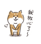 Shiba dog★Taiwan 柴犬 台湾語（個別スタンプ：28）