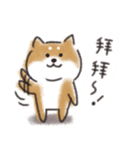 Shiba dog★Taiwan 柴犬 台湾語（個別スタンプ：40）