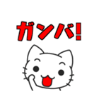 Funnycat Sticker 5（個別スタンプ：34）