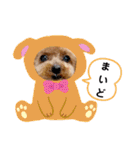 トイプーのティンクスタンプ（個別スタンプ：3）
