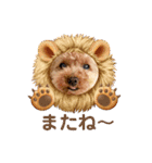 トイプーのティンクスタンプ（個別スタンプ：6）