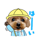 トイプーのティンクスタンプ（個別スタンプ：7）