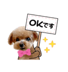 トイプーのティンクスタンプ（個別スタンプ：8）