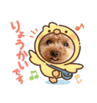 トイプーのティンクスタンプ（個別スタンプ：12）