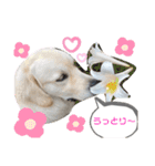 ルポちゃんの日常（個別スタンプ：9）