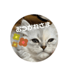 みにちゃんすたんぷ2（個別スタンプ：4）