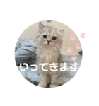 みにちゃんすたんぷ2（個別スタンプ：10）
