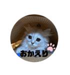 みにちゃんすたんぷ2（個別スタンプ：11）