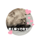 みにちゃんすたんぷ2（個別スタンプ：13）