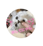 みにちゃんすたんぷ2（個別スタンプ：18）