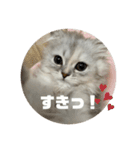 みにちゃんすたんぷ2（個別スタンプ：20）