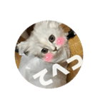 みにちゃんすたんぷ2（個別スタンプ：24）