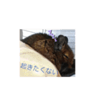 うちのデグがすみません2（個別スタンプ：14）