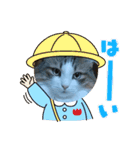 ノルウェージャンフォレストキャットにゃん（個別スタンプ：5）